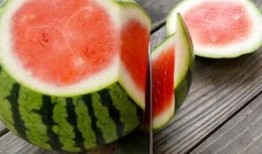 打滚吃瓜群众套装,趣味横生的夏日狂欢必备