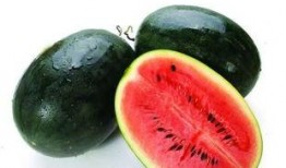 韩城4个吃瓜,揭秘当地特色美食背后的故事