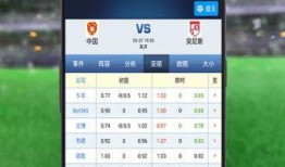 足球比分中奖领奖视频,见证中奖瞬间，共赏领奖荣耀