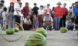 好实惠吃瓜节,夏日狂欢，尽享美味与欢乐