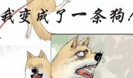 吃瓜采购小说,采购界的甜蜜冒险