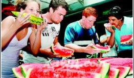 古镇视频吃瓜,视频吃瓜背后的风味传奇