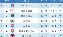 林芝足球比赛赛程比分,比分揭晓，赛程亮点纷呈