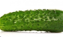 为了减肥吃瓜,探索吃瓜减肥的奥秘