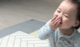 吃小猪的瓜视频,背后真相与争议