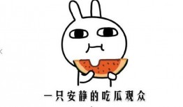 吃瓜怎么升温感情,揭秘如何巧妙增进感情