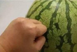 吃瓜听不清,揭秘网络热议背后的真相与误解