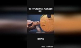 吃货挑战全网吃瓜视频,吃货达人带你领略美食盛宴