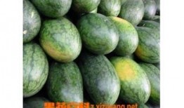 美人瓜怎样吃,解锁美味新体验