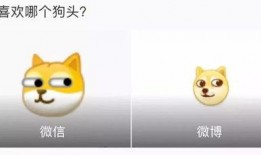吃瓜表情吃旺柴,揭秘网络社交新潮流