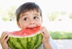 婴儿可以吃梨吗吃瓜,梨与瓜类食材的适宜性分析