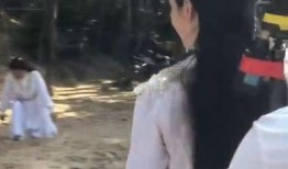 吃瓜群众打女人,围观者打女人引发社会关注