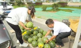 吃瓜两个瓜,揭秘吃瓜背后的故事与趣味