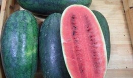 谭竹吃瓜黑料,揭秘娱乐圈背后的真相