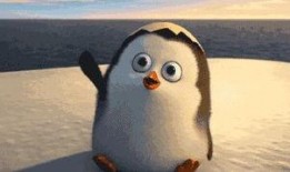 企鹅吃瓜视频,揭秘动物界的“娱乐圈”