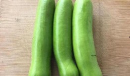 最烦等公交 吃瓜,日常生活的趣味瞬间