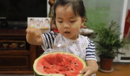 摆摊吃瓜群众怎么摆,街头市井的欢乐摆摊攻略