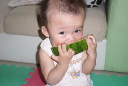 小猪吃瓜图,趣味盎然的田园生活瞬间