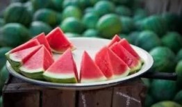 南昌钓友吃瓜,揭秘钓场趣闻