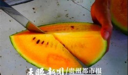 贵阳最新吃瓜事件,最新吃瓜事件揭秘