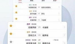 球探网比分足球即时手,实时数据解析，洞察赛场风云