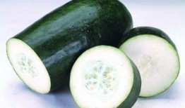 肺病可以吃蜜瓜吗,肺病患者适宜食用蜜瓜的探讨