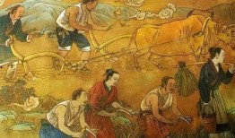 古人吃匏瓜,穿越千年的美味记忆