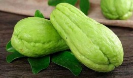 孕9周可以吃佛手瓜吗,孕9周孕妇适宜食用佛手瓜的益处与注意事项