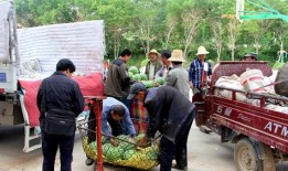 舟曲县吃瓜群众,吃瓜群众眼中的风土人情