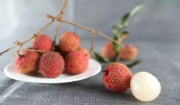 吃荔枝还可以吃王瓜吗,同食相宜的健康搭配指南