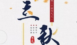 湖中医吃瓜文案,吃瓜群众眼中的校园美食风云录