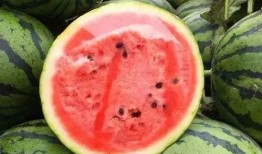 米开朗吃瓜,一场味蕾与艺术的碰撞之旅