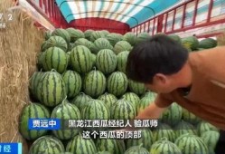 国内吃瓜在钱,揭秘国内“吃瓜群众”的金钱游戏