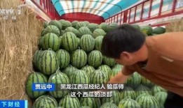 国内吃瓜在钱,揭秘国内“吃瓜群众”的金钱游戏