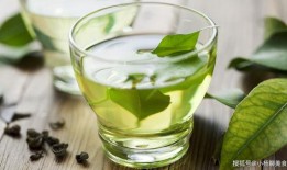 绿茶吃瓜周里京,揭秘娱乐圈的清新“瓜农”