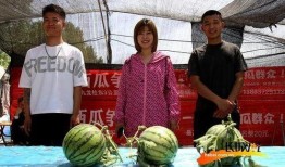 河北吃瓜ktv,吃瓜娱乐，畅享音乐狂欢夜