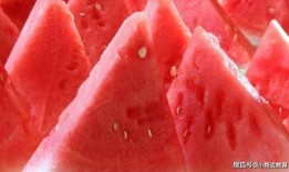 有瓜吃就不错,有瓜吃就不错的生活哲学