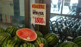 福建年度吃瓜,盘点那些让人津津乐道的街头小吃