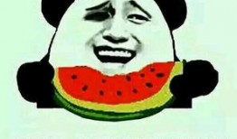 打人吃瓜什么成语,一笑泯恩仇