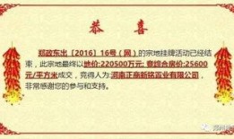 吃瓜群电报,网络社交新现象背后的故事