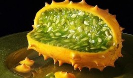 吃角瓜种,从播种到收获的绿色之旅