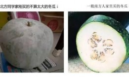 南北吃瓜的差异,吃瓜文化的地域差异大揭秘