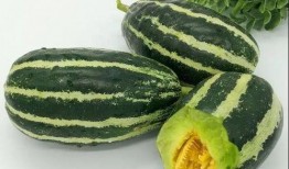 民大博济吃瓜,一场吃瓜盛宴背后的校园风云