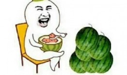 吃瓜为什么这么直,揭秘“吃瓜群众”直爽性格背后的奥秘