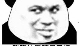 吃小猪的瓜视频,背后真相与争议