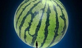 生殖医学吃瓜,揭秘生育之谜，共话生育健康