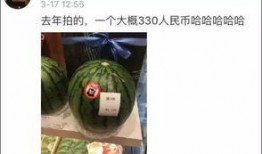 冬天吃西瓜麒麟瓜,探寻麒麟瓜的独特魅力