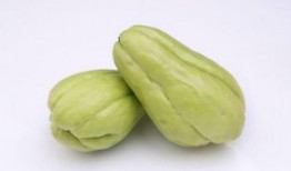 孕9周可以吃佛手瓜吗,孕9周孕妇适宜食用佛手瓜的益处与注意事项