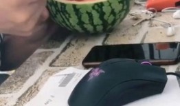 吃婚礼上的瓜,那些被吃掉的“瓜”