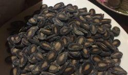 吃瓜的瓜子图片真实,揭秘吃瓜神器——瓜子图片背后的故事